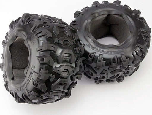 Tires, Canyon AT 3.8" (2)/ foam inserts (2)