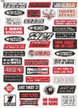 Champion Auto Decals Sticker Sheet