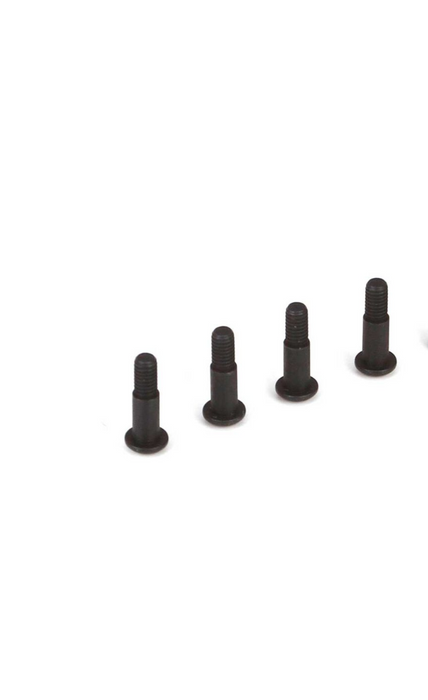 King Pin Screws (4): 22-4