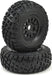 Nomad Pre-mounted Tires