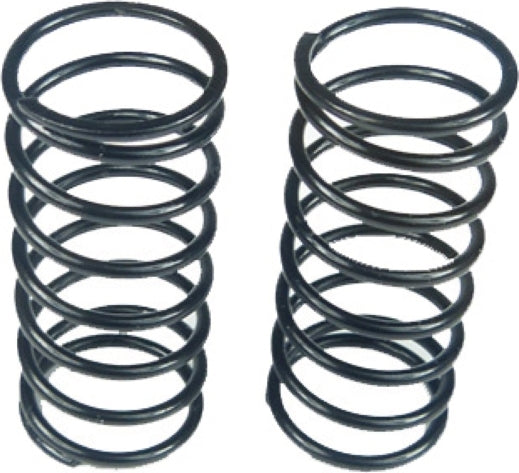 Black Big Bore Springs 10 lb (Pair)