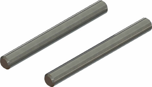 Hingepin 2.5x24mm (4pcs)
