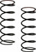 Front Shock Spring (2)