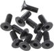Flat Head Screw 3x8mm (10)