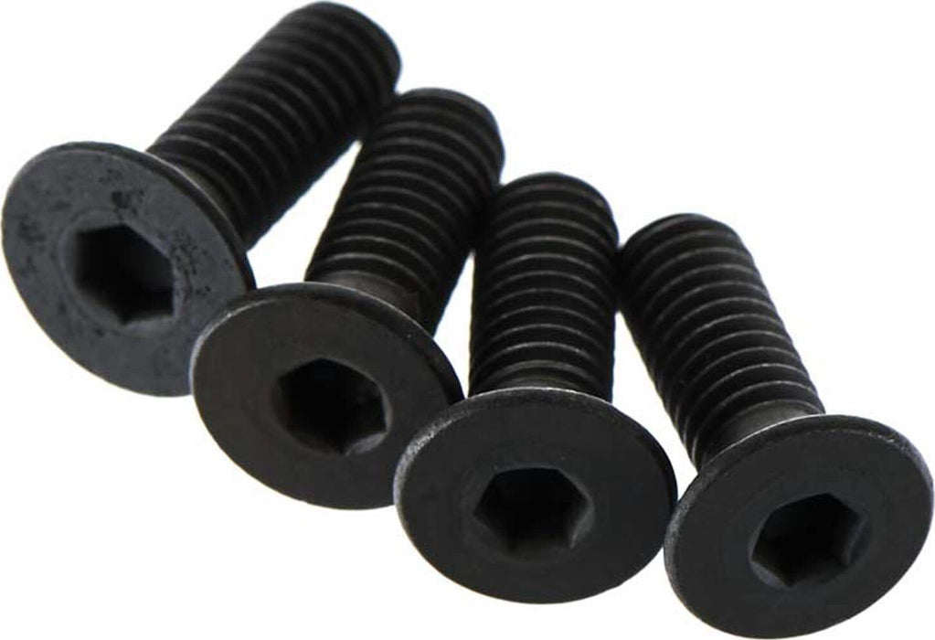 Flat Head Screw 4x12mm (4)