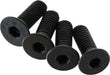 Flat Head Screw 4x12mm (4)