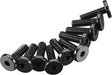 Hex Socket Oversize Head 3x10mm (10)