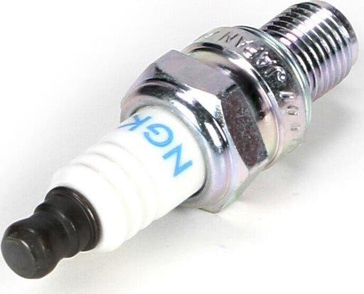 Spark Plug Losi 26cc