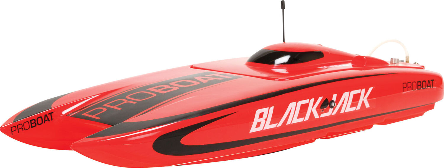 Blackjack 24" Brushless Catamaran RTR