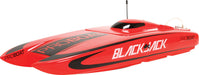 Blackjack 24" Brushless Catamaran RTR