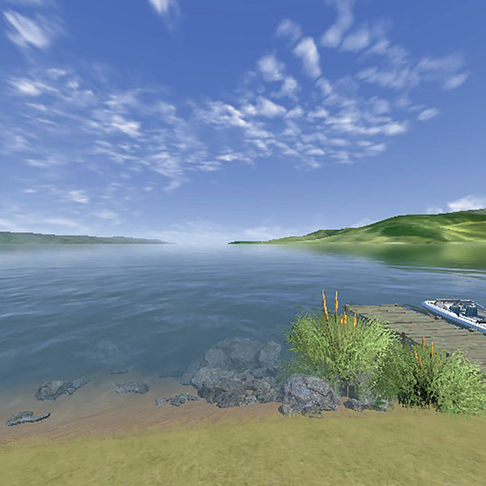 RealFlight Trainer Edition RC helicopter Flight Simulator with SLT6 Transmitter/Controller