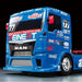 1/14 Team Reinert Racing MAN TGS TT-01 Type E Kit