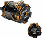 Double Down 17.5T Outlaw Brushless Motor with TEP1149 Rotor