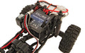 Enduro24 Ecto 1/24 4WD RTR Trail Truck, Crawler