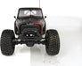 1/10 4WD Enduro Trail Truck, Ecto Black RTR