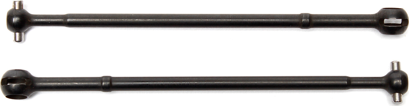 T5M CVA Bone