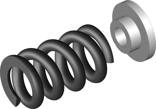 Slipper Clutch Spring - 1 pc + Washer: Mammoth, Moxoo, Triton
