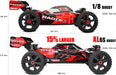 Asuga XLR 6S RTR - Red