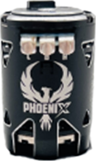 13.5T Phoenix Gold Spec Dirt Motor