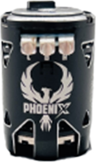 13.5T Phoenix Gold Spec Dirt Motor