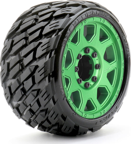 1/8 SGT 3.8 EX-Rockform, Mounted on Metal Green Claw