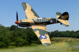 Curtiss P-40 Warhawk Micro RTF Airplane with PASS System