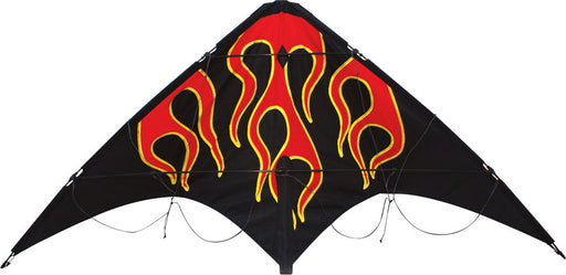 Learn to Fly Flames