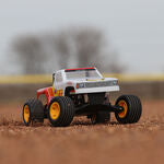 1/16 Mini JRXT Brushed 2WD Limited Edition Racing Monster Truck RTR