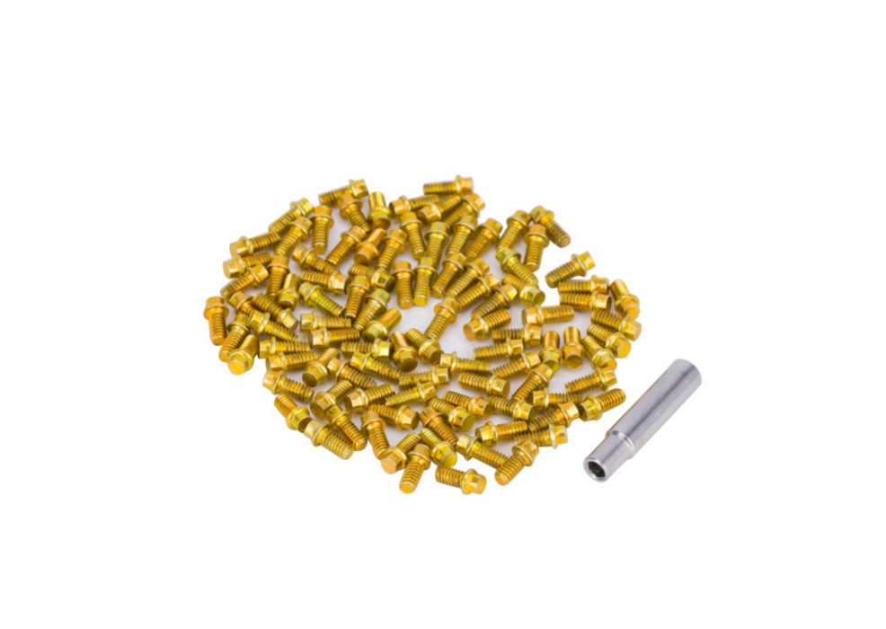 M2X4 Golden Hexagon Screws (100