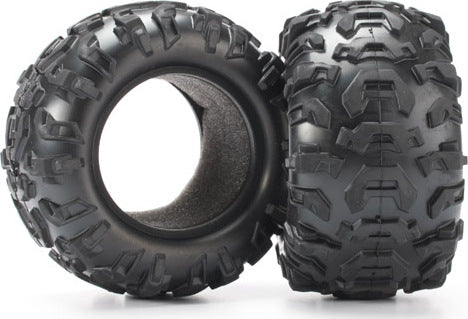 Tires, Canyon AT 2.2" (2)/ foam inserts (2)
