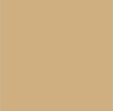 Acrylic Model Paint, 1 oz Bottle, Glebbraun, RAL 8020