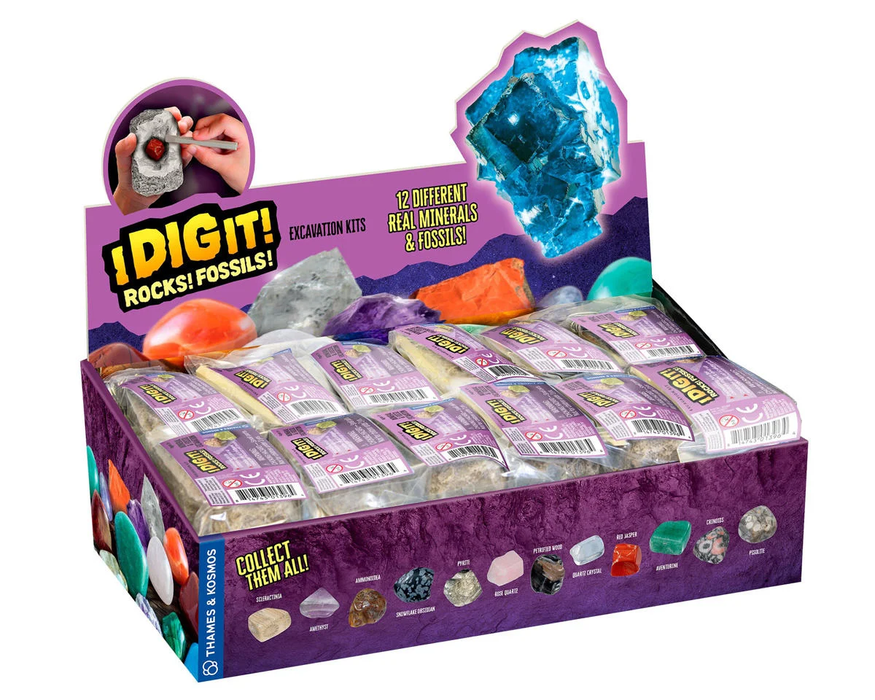 Thames & Kosmos I Dig It! Rocks & Fossils Mini Excavation Gift Set Display Assortment (24) single